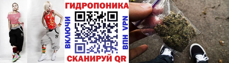 Бошки Шишки MAZAR  как найти   Улан-Удэ 